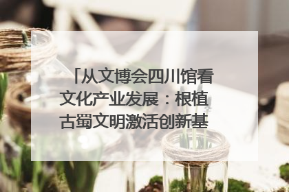从文博会四川馆看文化产业发展：根植古蜀文明激活创新基因｜文博向“新”