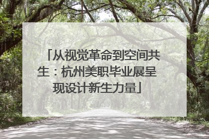 从视觉革命到空间共生：杭州美职毕业展呈现设计新生力量