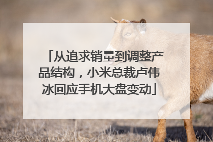 从追求销量到调整产品结构，小米总裁卢伟冰回应手机大盘变动