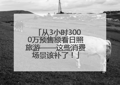 从3小时3000万预售额看日照旅游——这些消费场景该补了！