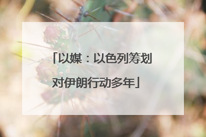 以媒：以色列筹划对伊朗行动多年