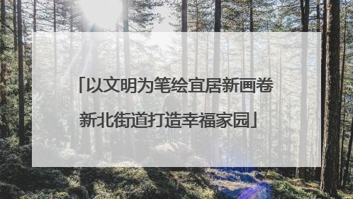 以文明为笔绘宜居新画卷 新北街道打造幸福家园
