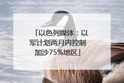 以色列媒体：以军计划两月内控制加沙75%地区