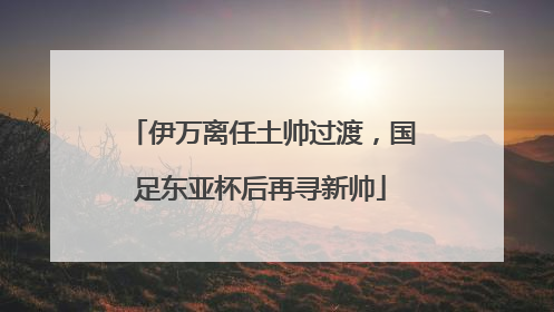 伊万离任土帅过渡，国足东亚杯后再寻新帅
