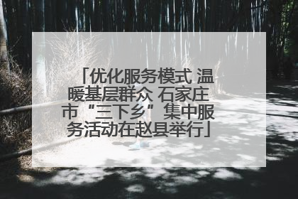 优化服务模式 温暖基层群众 石家庄市“三下乡”集中服务活动在赵县举行
