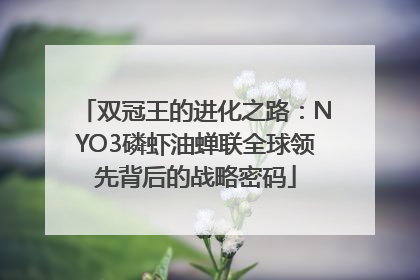 双冠王的进化之路：NYO3磷虾油蝉联全球领先背后的战略密码