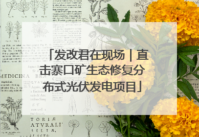 发改君在现场｜直击寨口矿生态修复分布式光伏发电项目
