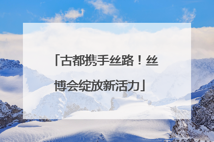 古都携手丝路！丝博会绽放新活力