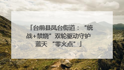 台前县凤台街道：“统战+禁烧”双轮驱动守护蓝天 “零火点”