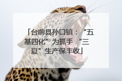 台前县孙口镇：“五基四化”为抓手 “三夏”生产保丰收