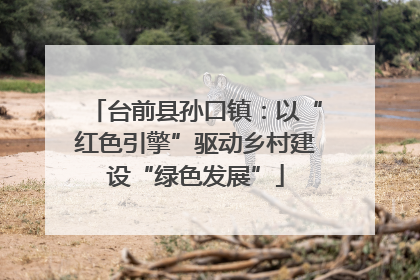 台前县孙口镇：以“红色引擎”驱动乡村建设“绿色发展”
