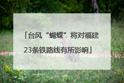 台风“蝴蝶”将对福建23条铁路线有所影响