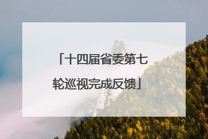 十四届省委第七轮巡视完成反馈