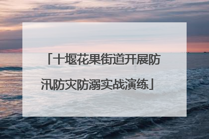 十堰花果街道开展防汛防灾防溺实战演练