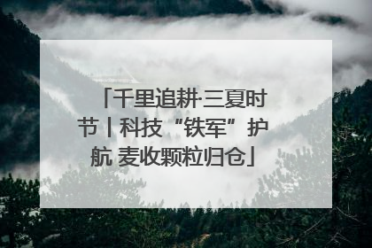 千里追耕·三夏时节丨科技“铁军”护航 麦收颗粒归仓