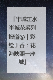 半城江水半城花系列报道⑤｜彩绘丁香：花海映照一座城