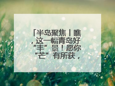 半岛聚焦丨瞧，这一幅青岛好“丰”景！愿你“芒”有所获，“种”有所得