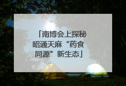 南博会上探秘昭通天麻“药食同源”新生态