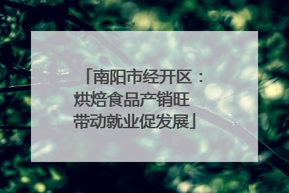 南阳市经开区：烘焙食品产销旺 带动就业促发展