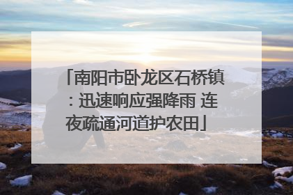 南阳市卧龙区石桥镇：迅速响应强降雨 连夜疏通河道护农田