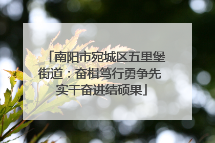 南阳市宛城区五里堡街道：奋楫笃行勇争先 实干奋进结硕果