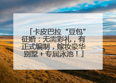 卡皮巴拉“豆包”征婚：无需彩礼，有正式编制，嫁妆豪华别墅＋专属泳池！