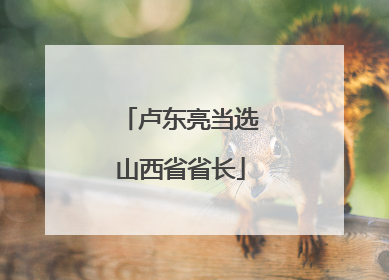 卢东亮当选山西省省长