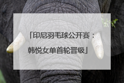 印尼羽毛球公开赛：韩悦女单首轮晋级