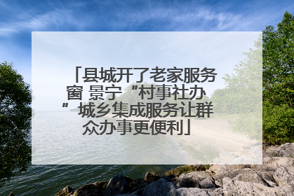 县城开了老家服务窗 景宁“村事社办”城乡集成服务让群众办事更便利