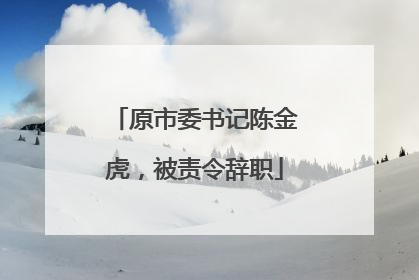 原市委书记陈金虎，被责令辞职