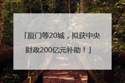 厦门等20城，拟获中央财政200亿元补助！