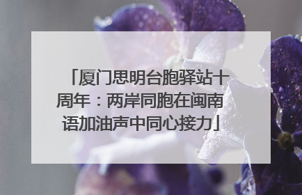 厦门思明台胞驿站十周年：两岸同胞在闽南语加油声中同心接力