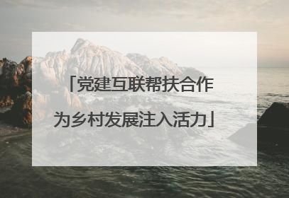 党建互联帮扶合作 为乡村发展注入活力