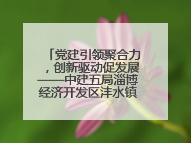 党建引领聚合力，创新驱动促发展——中建五局淄博经济开发区沣水镇高西村安置项目建设纪实