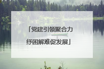 党建引领聚合力 纾困解难促发展