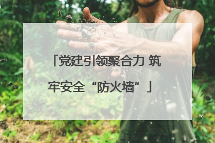 党建引领聚合力 筑牢安全“防火墙”