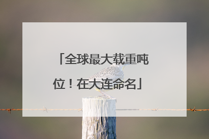 全球最大载重吨位！在大连命名