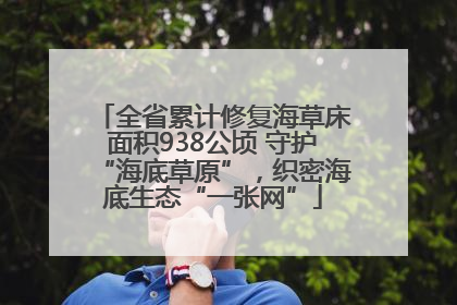 全省累计修复海草床面积938公顷 守护“海底草原”，织密海底生态“一张网”