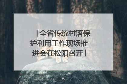 全省传统村落保护利用工作现场推进会在松阳召开