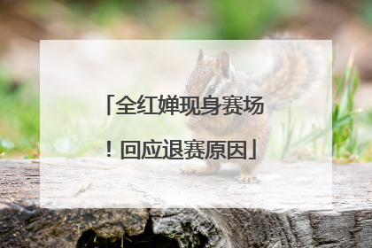 全红婵现身赛场！回应退赛原因
