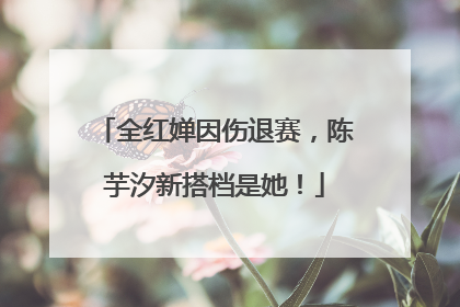 全红婵因伤退赛，陈芋汐新搭档是她！