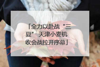 全力以赴战“三夏” 天津小麦机收会战拉开序幕