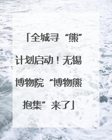全城寻“熊”计划启动！无锡博物院“博物熊抱集”来了