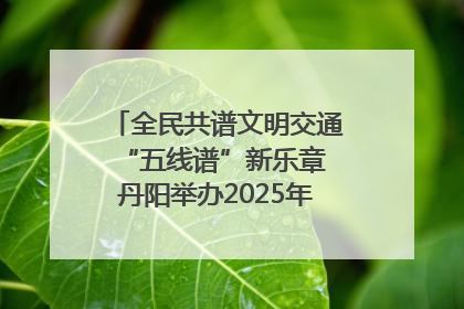 全民共谱文明交通“五线谱”新乐章 丹阳举办2025年“文明交通 同心同行”主题宣传活动