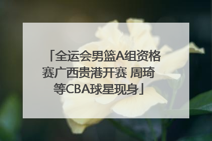 全运会男篮A组资格赛广西贵港开赛 周琦等CBA球星现身