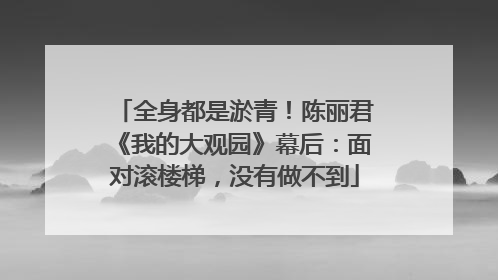 全身都是淤青！陈丽君《我的大观园》幕后：面对滚楼梯，没有做不到