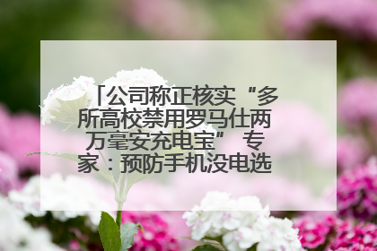 公司称正核实“多所高校禁用罗马仕两万毫安充电宝” 专家：预防手机没电选中等体积产品即可