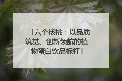 六个核桃：以品质筑基、创新领航的植物蛋白饮品标杆