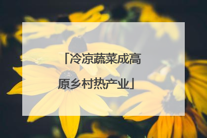冷凉蔬菜成高原乡村热产业