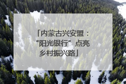 内蒙古兴安盟：“阳光银行”点亮乡村振兴路